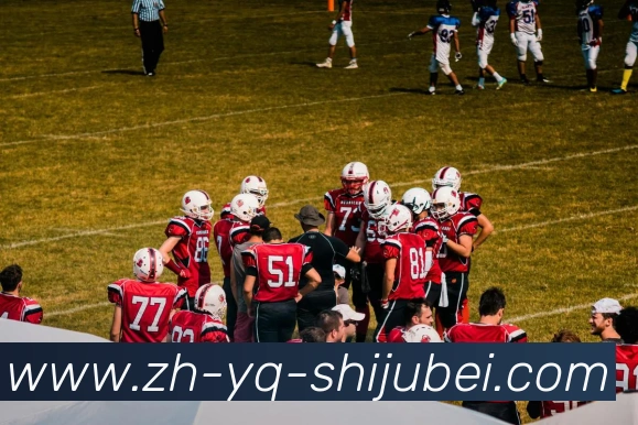 法甲赛季目标制定流程揭秘：管理层与教练组协商机制