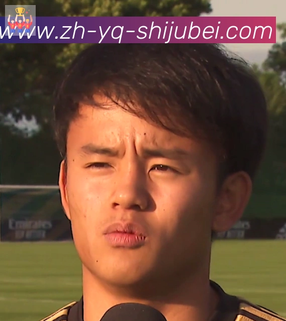 维尼修斯