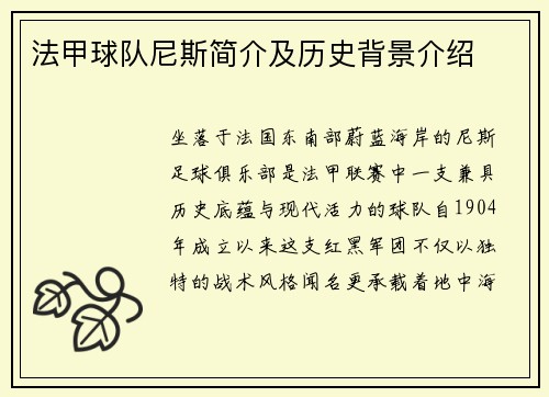 法甲球队尼斯简介及历史背景介绍